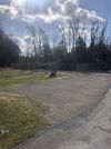 3178 Route 219 photo